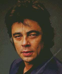 Benicio Del Toro Diamond Painting