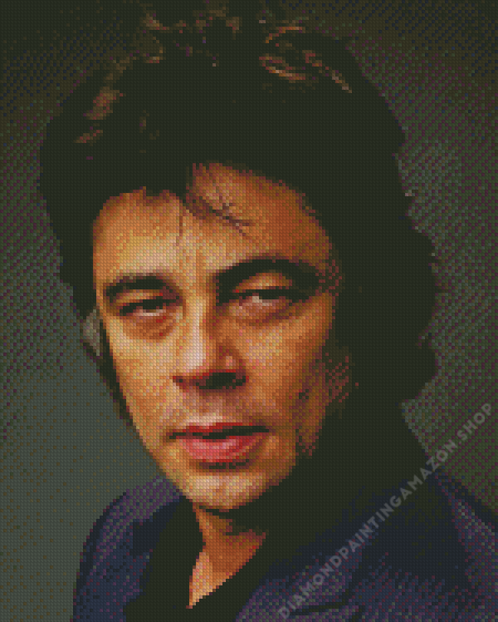 Benicio Del Toro Diamond Painting