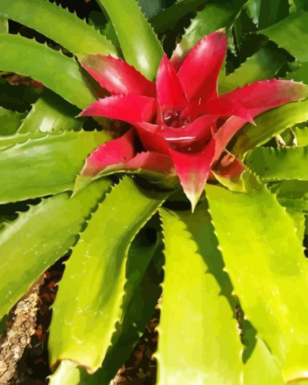 Bromeliaceae Flower Diamond Painting