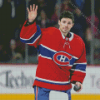 Carey Price Diamond Painting