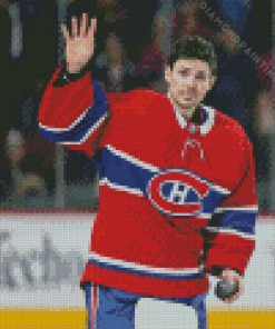 Carey Price Diamond Painting