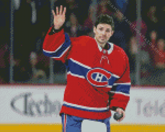 Carey Price Diamond Painting