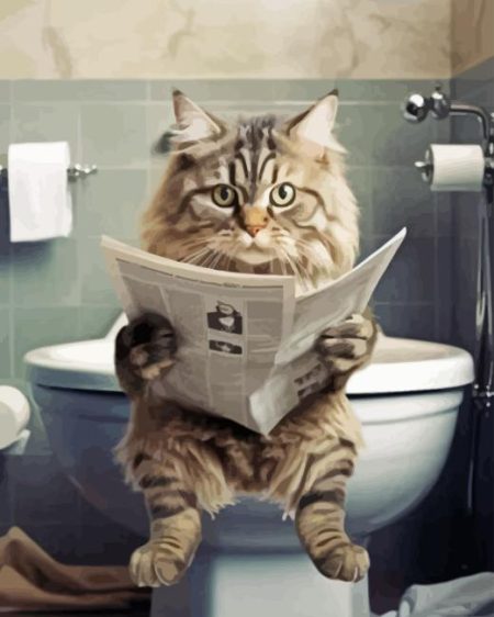 Cat Sit On Toilet Diamond Painting