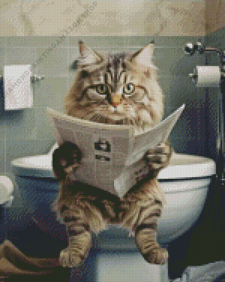Cat Sit On Toilet Diamond Painting