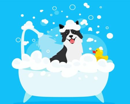 Dog In A Tub Diamond Painting