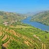 Douro Valley Portugal Diamond Painting