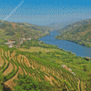 Douro Valley Portugal Diamond Painting