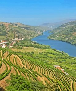 Douro Valley Portugal Diamond Painting