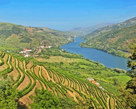 Douro Valley Portugal Diamond Painting