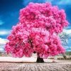 Forest Pink Tree Diamond Painting