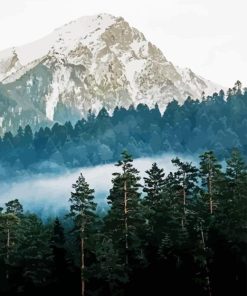 Forest And Mountain Diamond Painting