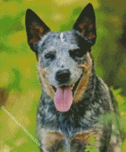 Herding Dog Diamond Painting