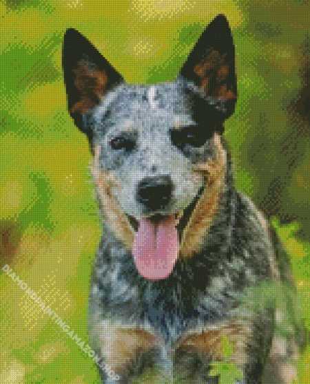 Herding Dog Diamond Painting