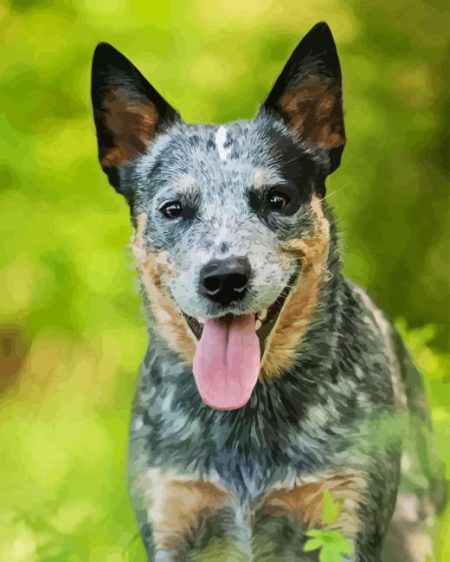 Herding Dog Diamond Painting