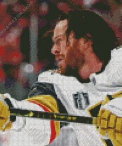 Jonathan Marchessault Hockey Player Diamond Painting