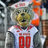 NC State Wolfpack Diamond Painting