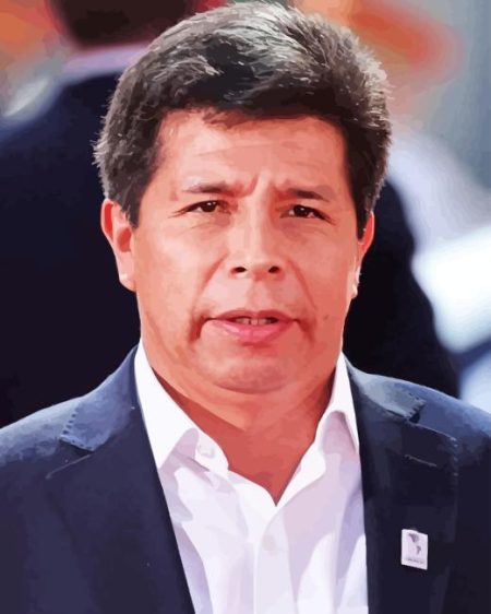 Pedro Castillo Diamond Painting