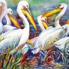 Pelican Birds Art Diamond Painting