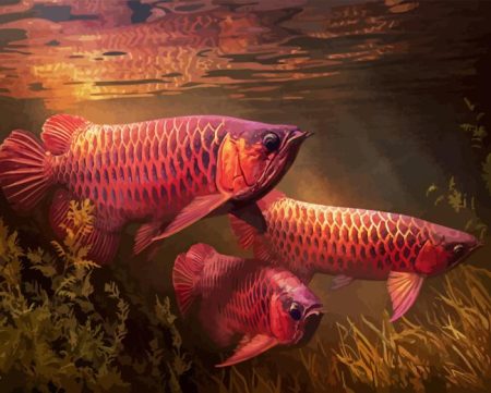 Red Asian Arowana Diamond Painting