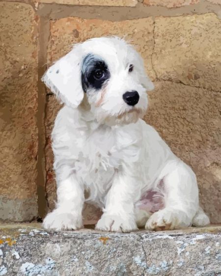 Sealyham Terrier Puppy Diamond Painting