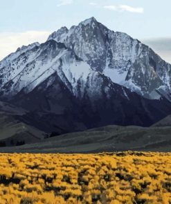 Sierra Mountains Diamond Painting