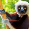 Sifaka On Tree Diamond Painting