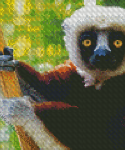 Sifaka On Tree Diamond Painting