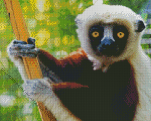 Sifaka On Tree Diamond Painting