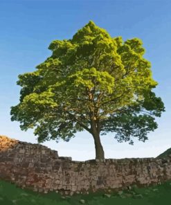 Sycamore Gap Diamond Painting