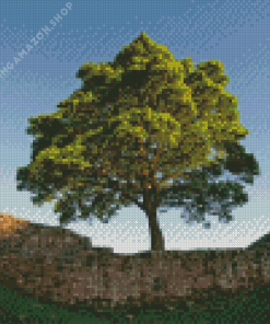 Sycamore Gap Diamond Painting