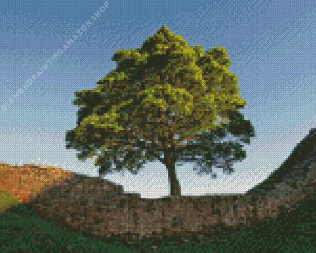 Sycamore Gap Diamond Painting