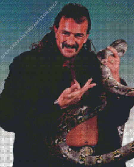 The Wrestler Jake Roberts Diamond Painting