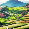 Vietnam Rice Terraces Poster Diamond Painting