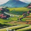 Vietnam Rice Terraces Poster Diamond Painting