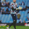 Wayne Hennessey Footballer Diamond Painting