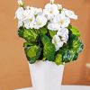 White Begonias Vase Diamond Painting