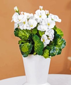 White Begonias Vase Diamond Painting