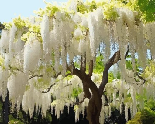 White Wisteria tree Diamond Painting