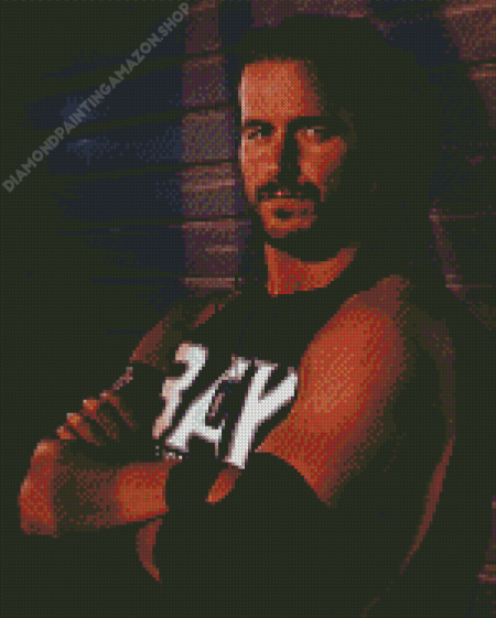 Adam Cole Diamond Painting