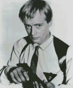 Illya Kuryakin Diamond Painting