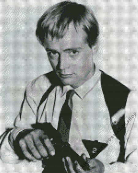 Illya Kuryakin Diamond Painting