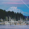 Gig Harbor Diamond Painting