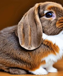 Holland Lop Diamond Painting