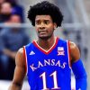 Josh Jackson Basketball Player Diamond Painting