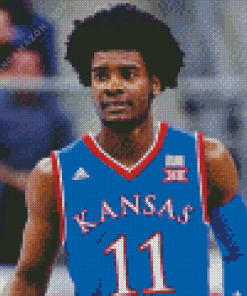 Josh Jackson Basketball Player Diamond Painting