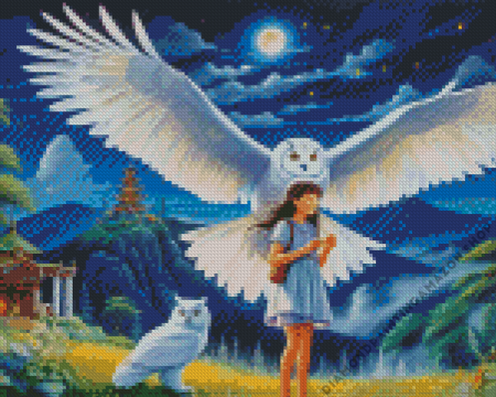 Lady With Owl Diamond Painting