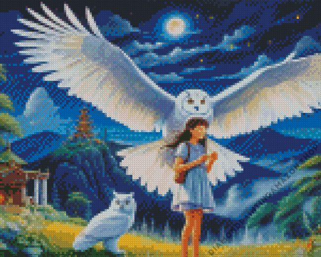 Lady With Owl Diamond Painting