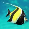 Moorish Idol Diamond Painting