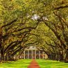 Oak Alley Plantation Diamond Painting