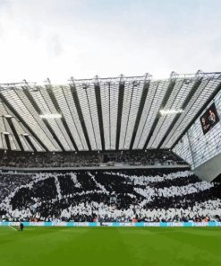 St James Park Diamond Painting